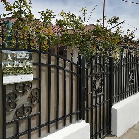 فندق سولينافي  Delta Florilor المظهر الخارجي الصورة