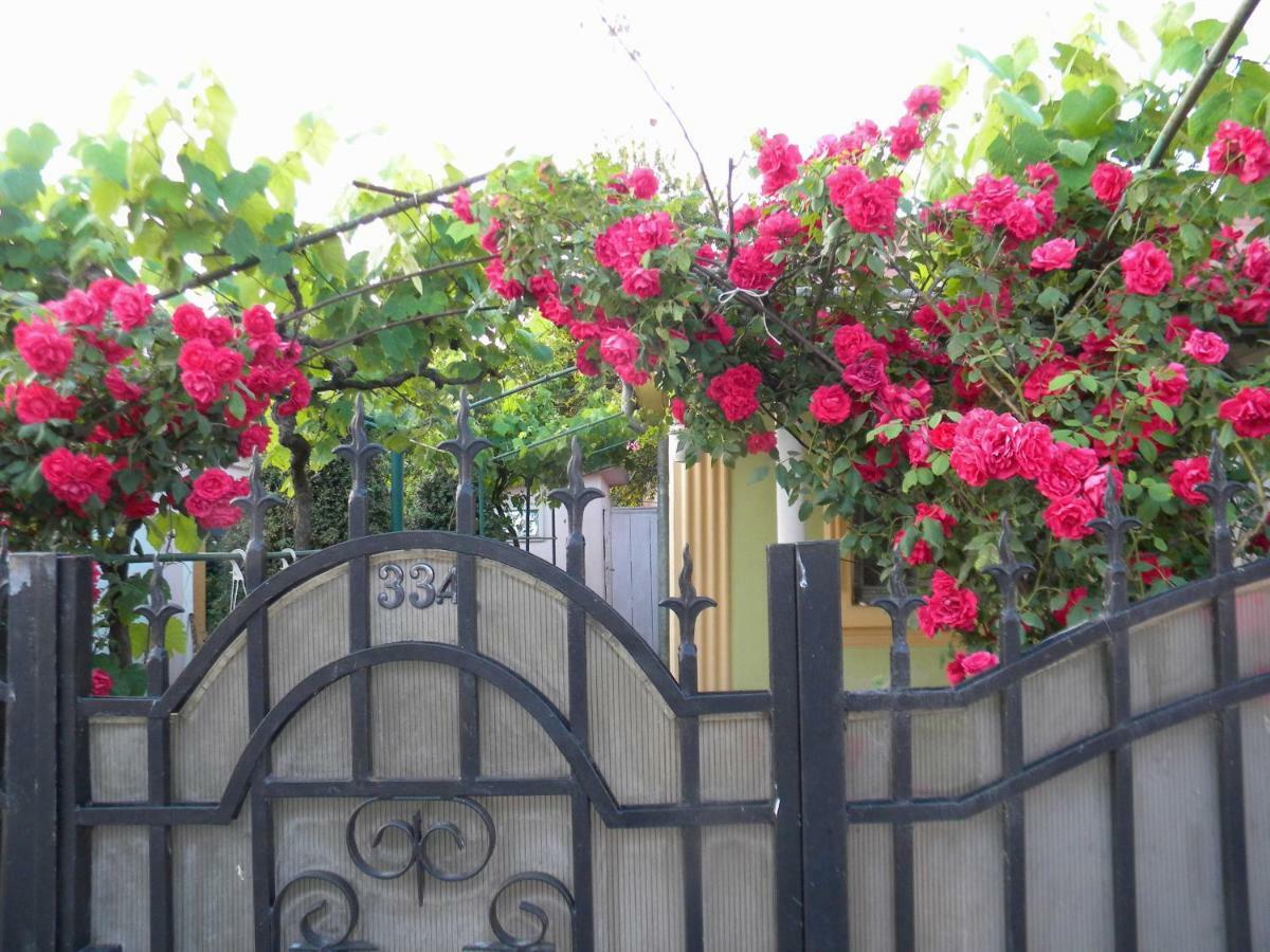 فندق سولينافي  Delta Florilor المظهر الخارجي الصورة